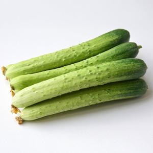싱싱한 국내산 백다다기오이 2kg
