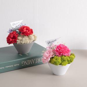 비누 카네이션 조화 화분 안개 set 13cm 2컬러 꽃 어버이날 스승의날 테이블 장식 감사 선물 행사 소품