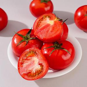 국내산 정품 완숙 토마토 2kg 로얄과(1-3번과)