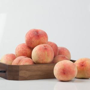[자연품애 복숭아]제철 대극천 반납작 복숭아 2kg 특대과