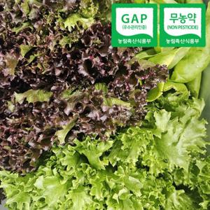 [자연속애] GAP 무농약 유러피안 샐러드 채소 800g(3-6종/랜덤) 당일수확출고