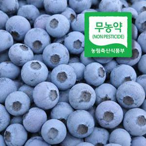 [농할 국내산] 무농약 생블루베리 1kg