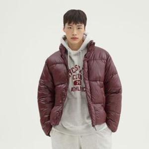 베이직 푸퍼