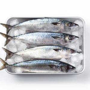 국내산 부산 자반 손질 특대 고등어 10미 3.5kg 내외 (2개 구매 시 갈치 1미 증정)