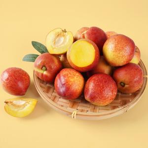 대형마트 납품! 26년 햇 오월도 천도복숭아 800g/1kg/2kg 사이즈 선택