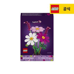 보태니컬 11514 코스모스 꽃