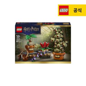 해리포터 76474 호그와트 약초 식물