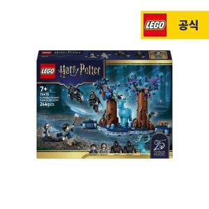 해리포터 76475 금단의 숲 익스펙토 패트로눔