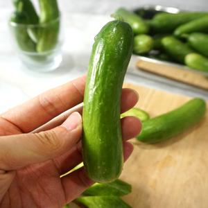 한손에 쏙! 아삭 수분가득 스낵오이 미니오이 1kg