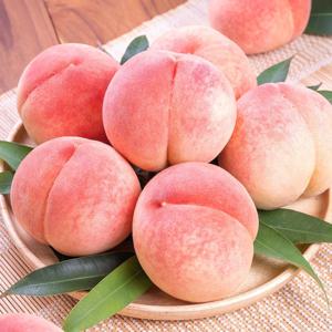 달콤한 햇 조생백도 복숭아 500g 외