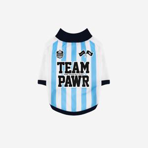 Club Stripe Cool Raglan Tee_Blue