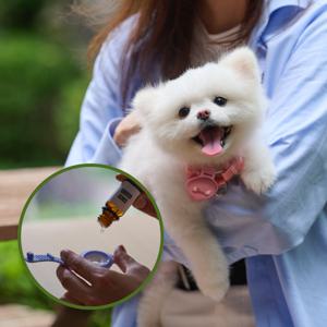 강아지 산책클립 모기 진드기 해충기피제 리필오일 15ml 포함 3컬러 코코가드