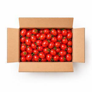 [당일수확] 달콤아삭 세도 대추방울토마토 2kg 로얄과 / 한정수량