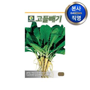 고들빼기 씨앗 1g . 야채 채소 텃밭 파종 재배 주말 농장 씨 종자