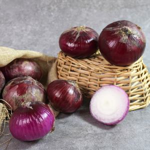 무안 자색양파 5kg (중대혼합)