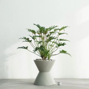 필로덴드론 제나두 MG-2 무광 그레이 화분 셀렘 제나두 공기정화식물