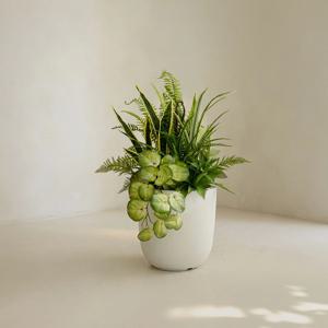 리얼퀄리티 핸드메이드 산세베리아 조화화분SET (H60cm)