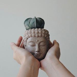 청난봉옥 반야베이스