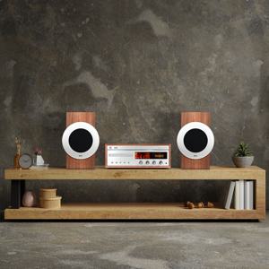 BZ-TM990-1 블루투스 스피커 150W 진공관 오디오