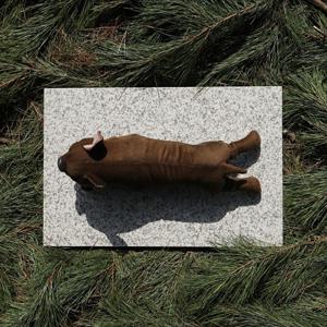 천연 화강석 반려동물 쿨매트 강아지 고양이 쿨침대