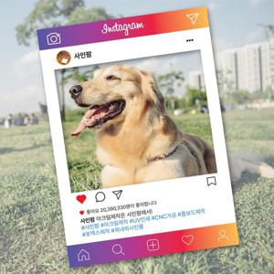 SNS 판넬 포토존 프레임 이벤트 A3 A2 A1