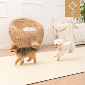 이리로 더나은 펫매트 강아지 슬개골탈구예방 미끄럼방지 방수 애견 러그형 매트