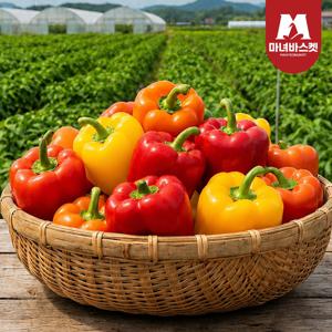 산지직송 가정용 랜덤과 국산 파프리카 5kg (15~17과 내외)