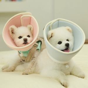 더플래 포그니 강아지 고양이 초경량넥카라