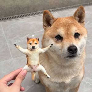 웃긴 강아지 시바견 와이어 인형 키링 폰줄 열쇠고리