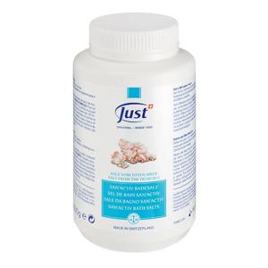 산액티브 솔트 500