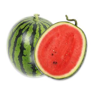 프리미엄 하우스 꿀 수박 8kg 당도선별 선물용