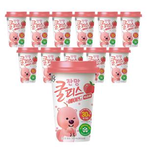 소와나무 쿨피스 에이드 (복숭아/자두) 2종 300mL*12개