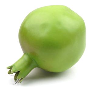 석류 모형 그린 7.8cm 과일모형