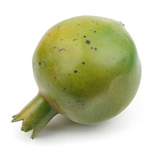 석류 모형 옐로우그린 7.9cm 과일모형
