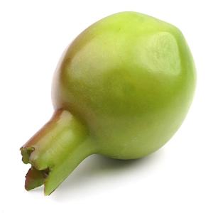 석류 모형 그린 6.8cm 과일모형