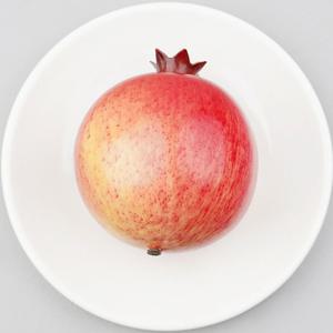 석류 모형 10.5cm 모조 과일모형