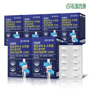 관절엔 철갑상어 & 소연골 콘드로이친 뮤코다당단백 1200 6개월분