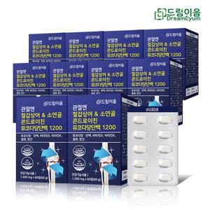 관절엔 철갑상어 & 소연골 콘드로이친 뮤코다당단백 1200 10개월분