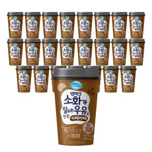 덴마크 소화가 잘되는 우유로 만든 라떼 (오리지널/바닐라/카라멜) 3종 250ml*24개