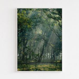 여름 숲 하늘 풍경 인테리어 포스터 액자 tree002
