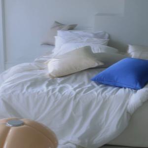 Champagne cushion cover  3color,  택1