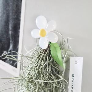 미니 수염 틸란드시아 꽃 마그넷