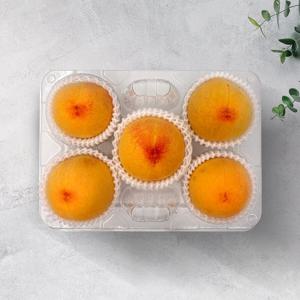 (신세계본점)황도 복숭아 1kg이상 5-6입 특등급