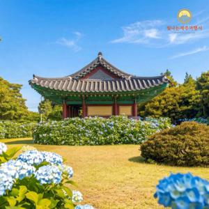 [*빛나는제주] 제주도 3박4일 22만9천원부터, 항공+호텔 3박+식사7회 포함!!