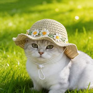 TEMU 작은 데이지가 달린 반려동물 밀짚모자, 고양이 밀짚 양산모자, 자외선 차단 모자