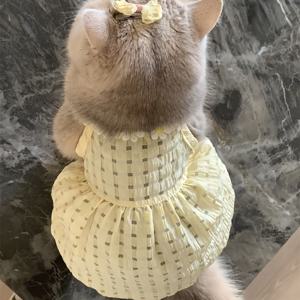 TEMU 여름 털빠짐 방지 골든 레이어드 천 인형 고양이 잉글리쉬 숏 인스타 스타일 반다리 치마 고양이 여름 한국식 반바지 옷