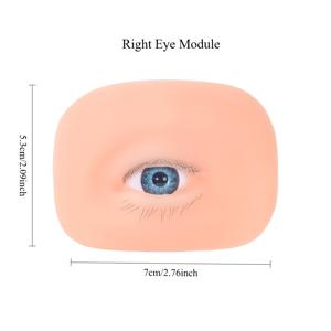 TEMU 초보자를 위한 상/하눈썹, 눈가 리프팅 기능, 싱글 트위저 훈련 모듈이 있는 올인원 속눈썹 연장 연습 도구