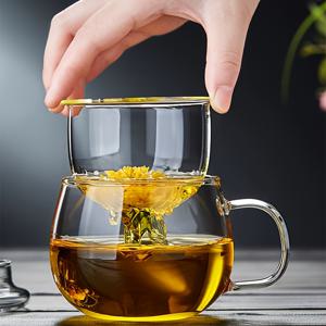TEMU 유리 티컵 (인퓨저 및 뚜껑 포함), 17.6oz/520ml 대형 보로실리케이트 티컵, 루스 리프 티, 블루밍 티용 투명 컵, 전자레인지 및 식기세척기 사용 가능, 블랙 티 유리 티컵 필터 포함, 훌륭한 루스 티 추출 시스템