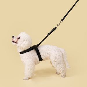 TEMU 반려견용 원클릭 팝업 가슴 및 등 하네스 가슴줄 세트, 소형견부터 중형견까지 야외 외출용 탈출 방지 개용 하네스. 블랙과 그레이 두 가지 색상 제공