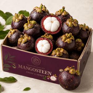 TEMU [초저가] 꿀 망고스틴 mangosteen 1kg